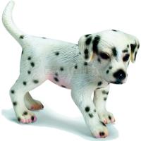 Preview Dalmatian, puppy