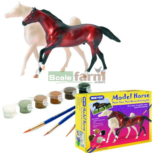 My Dream Horse - Arabian and Thoroughbred 2 Horse Painting Kit