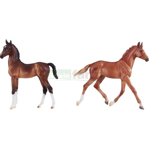 Best of British Foal Set - Thoroughbred and Hackney