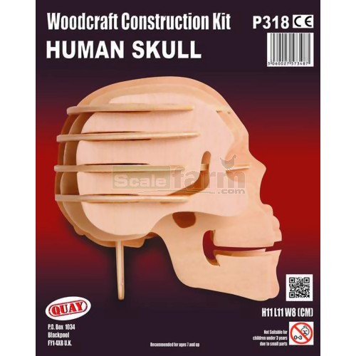 Quay P318 Human Skull Woodcraft Construction Kit