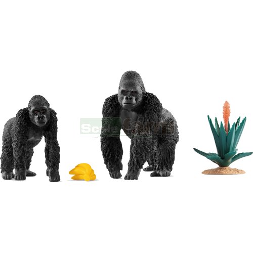 Gorillas Foraging