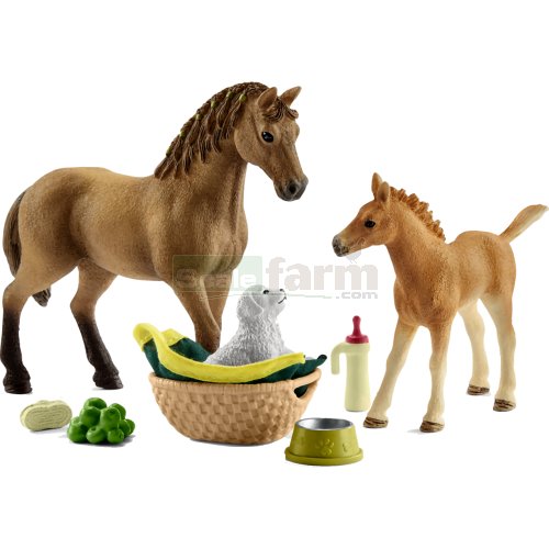 Baby Animal Care Set (Sarah - Horse Club)
