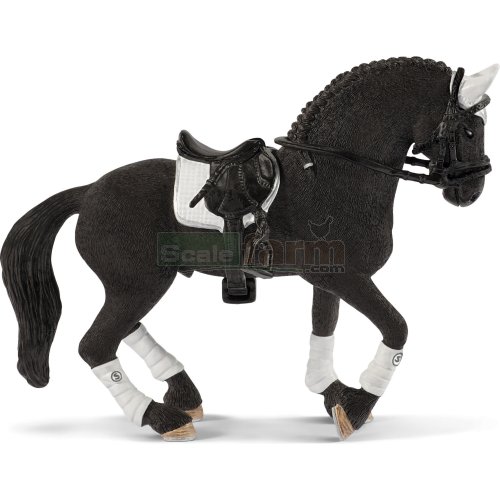 Frisian Stallion with Saddle and Tack