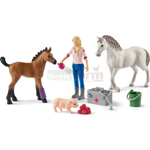 Vet Visiting Horse and Foal Set