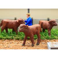 Preview Dark Brown Cattle - Standing (Pack of 3)