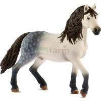 Preview Andalusian Stallion