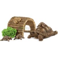 Preview Tortoise Home