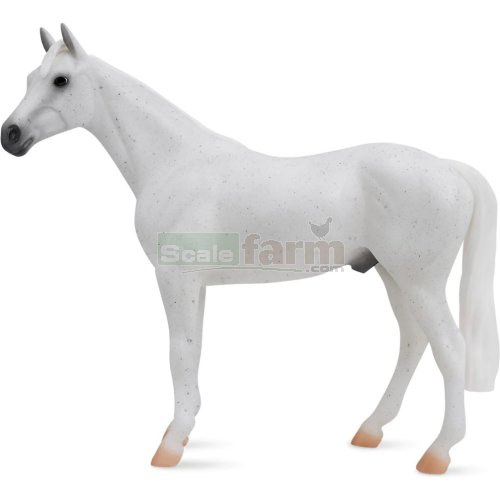 Fleabitten Grey Thoroughbred