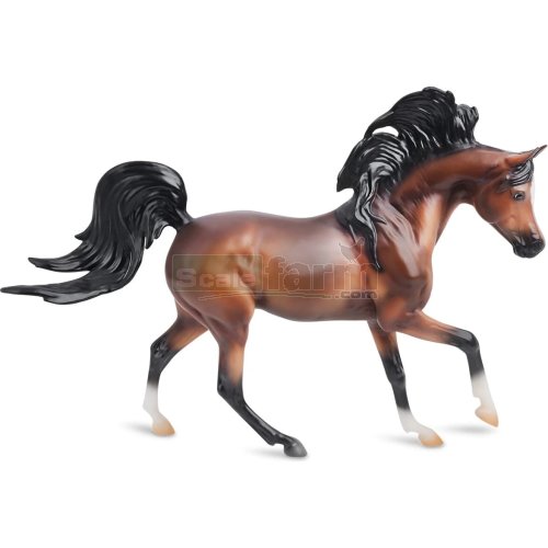 Mahogany Bay Arabian