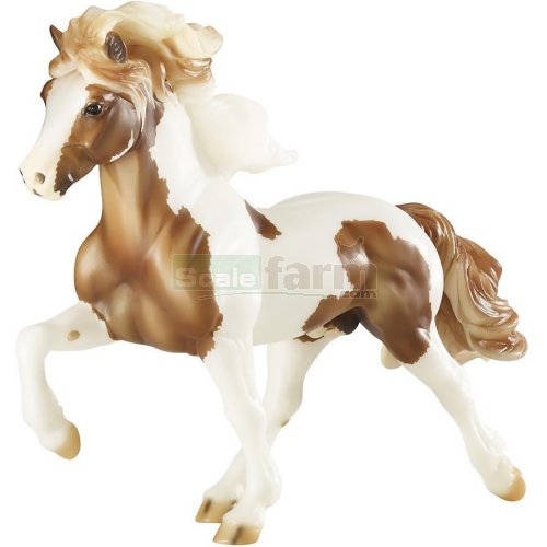 Sporður frá Bergi - Icelandic Stallion