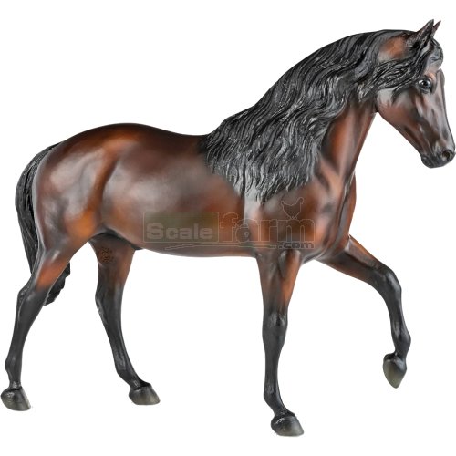 Vivaldi de Besilu - Paso Fino Stallion