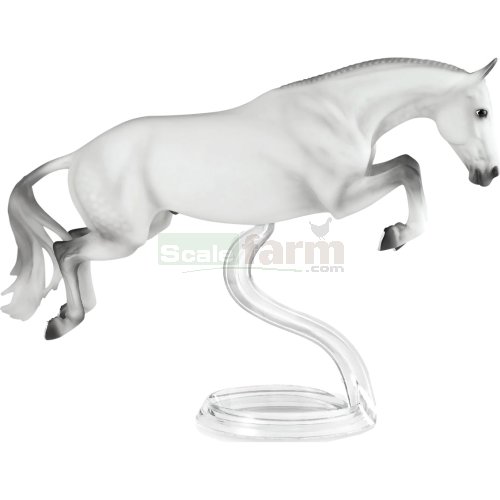 Get Rowdy - Dutch Warmblood