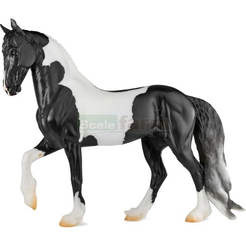 Battlefied Angel HP - Pinto Friesian Sporthorse