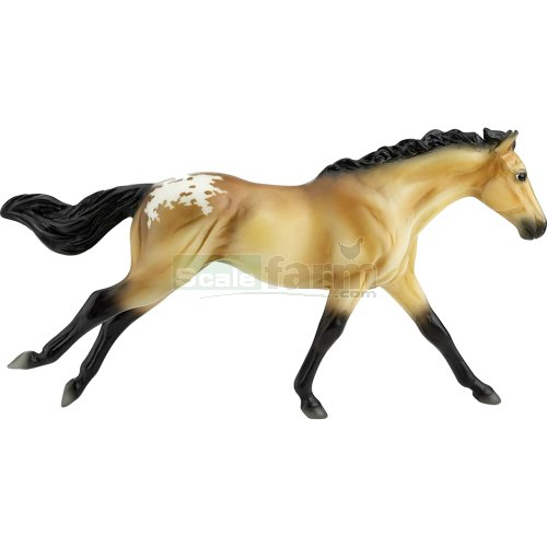 Buckskin Blanket Appaloosa