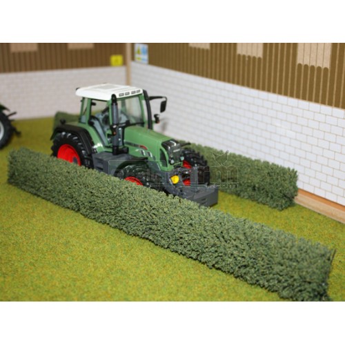 Hedges - Field (Pack of 2)
