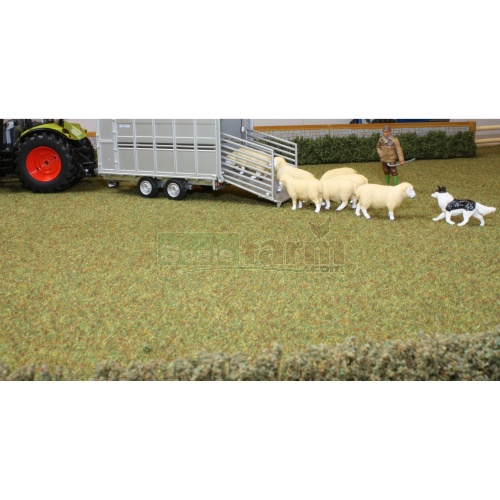 Field - Autumn Grass