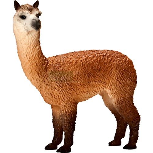  Schleich 13703 - Alpaca Stallion 