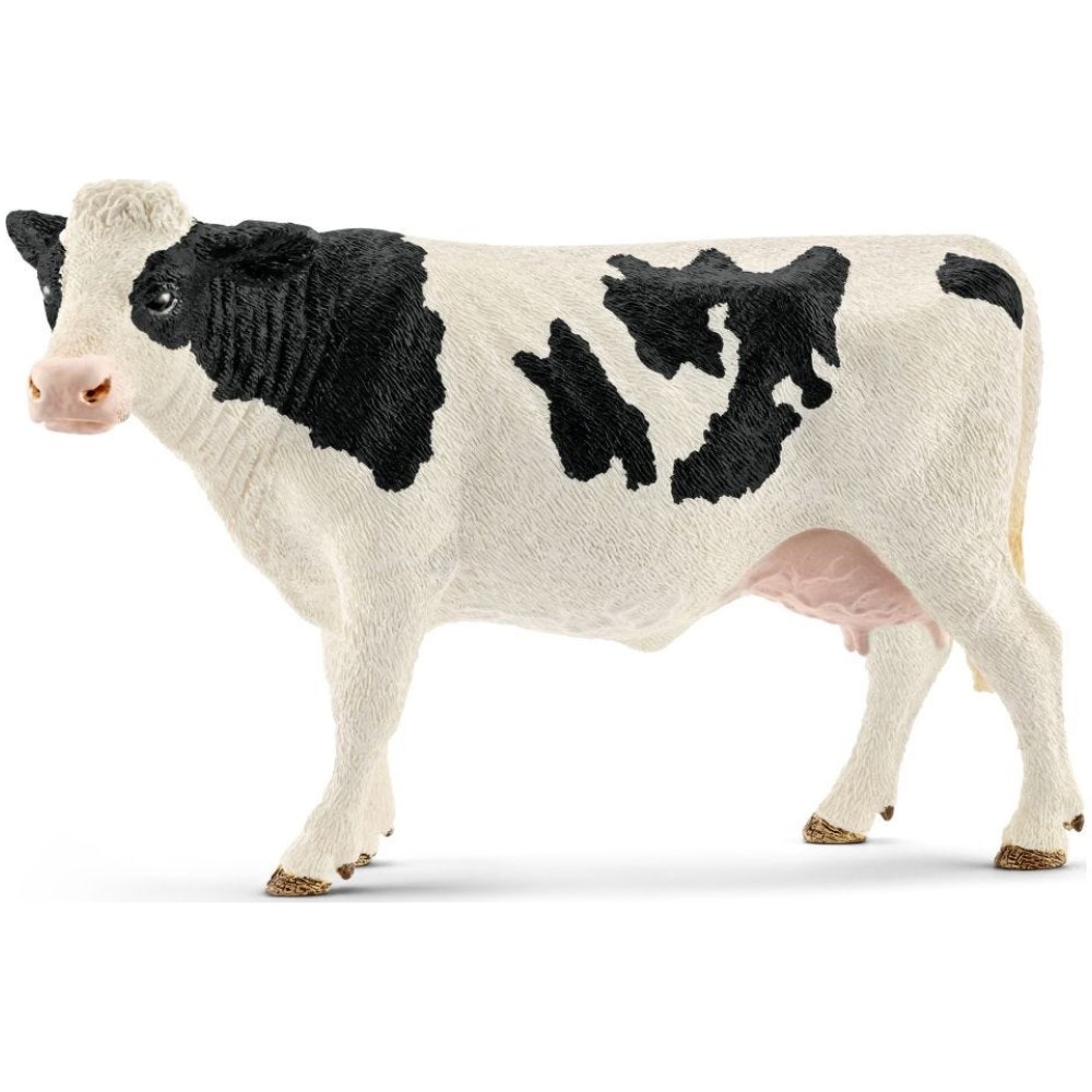 Holstein Cow