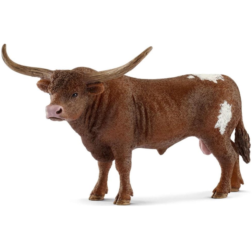Texas Longhorn Bull