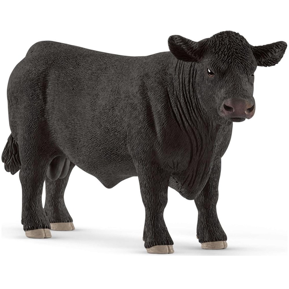 Black Angus Bull