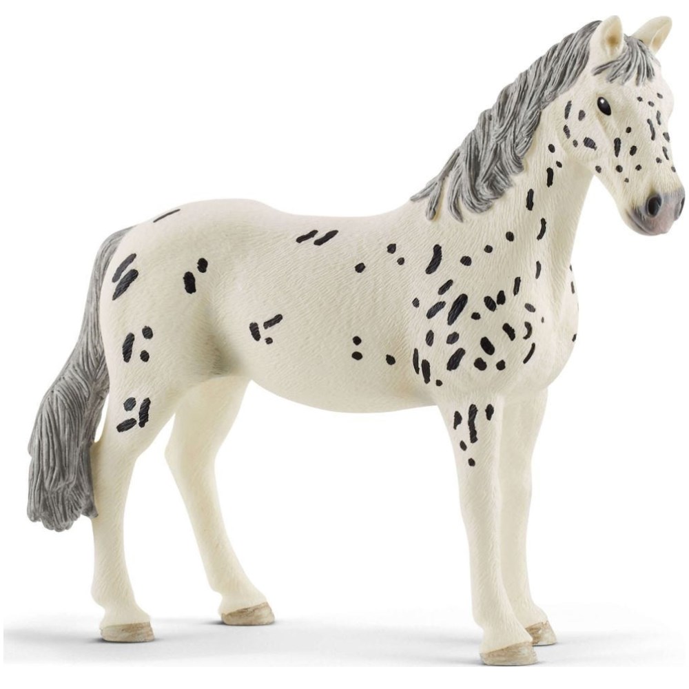 Knabstrupper Mare