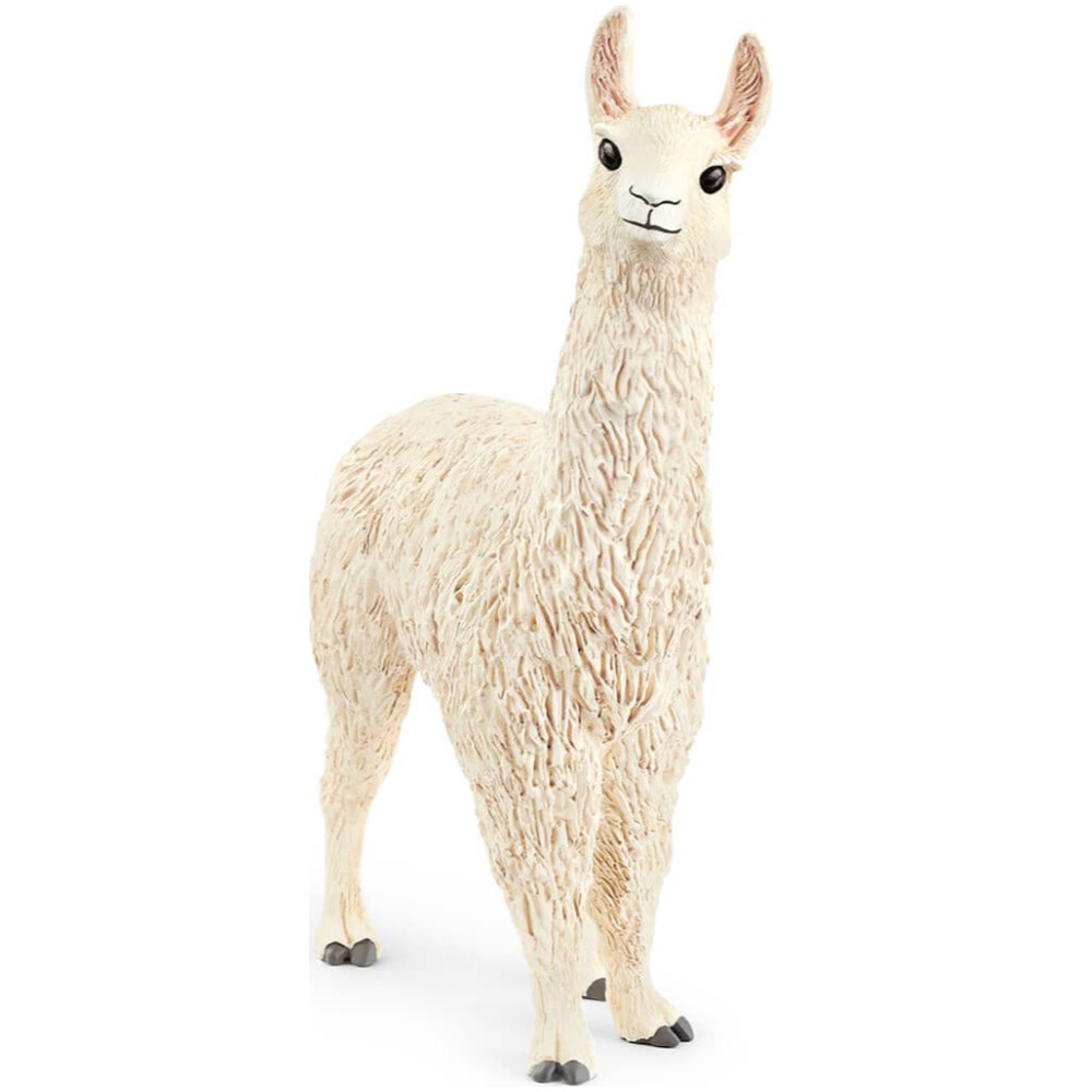 Llama