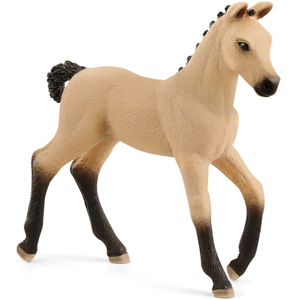 Hanoverian Foal - Red Dunn