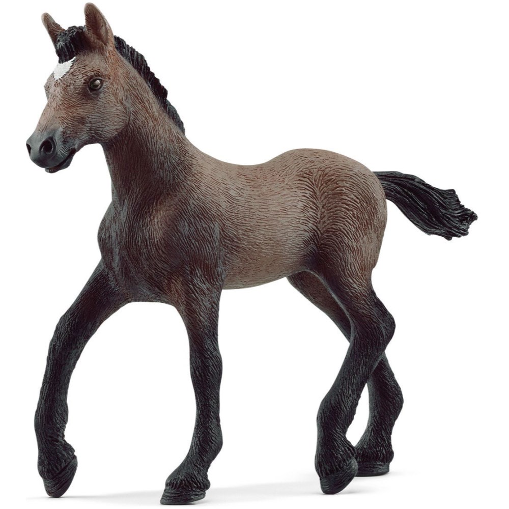 Paso Peruano Foal