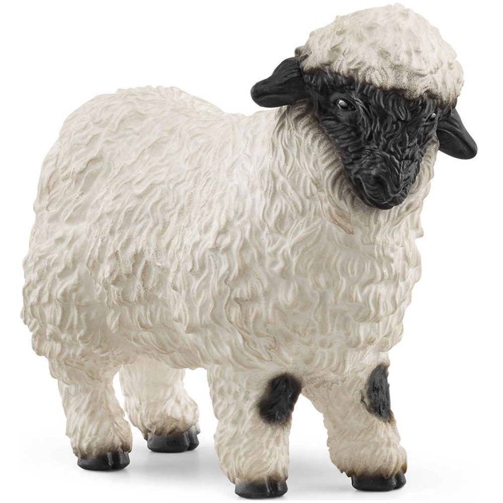 Valais Black-Nosed Sheep