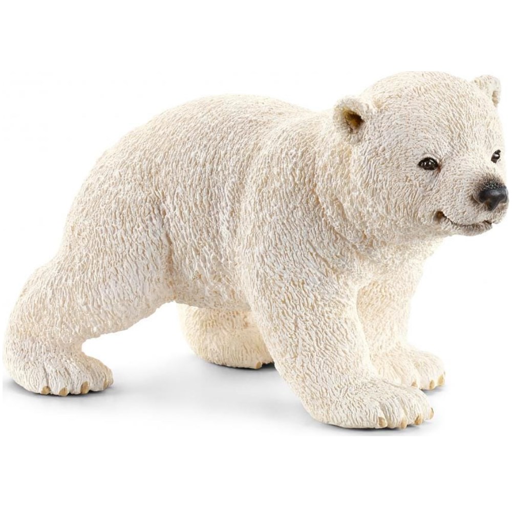 Polar Bear Cub, Walking