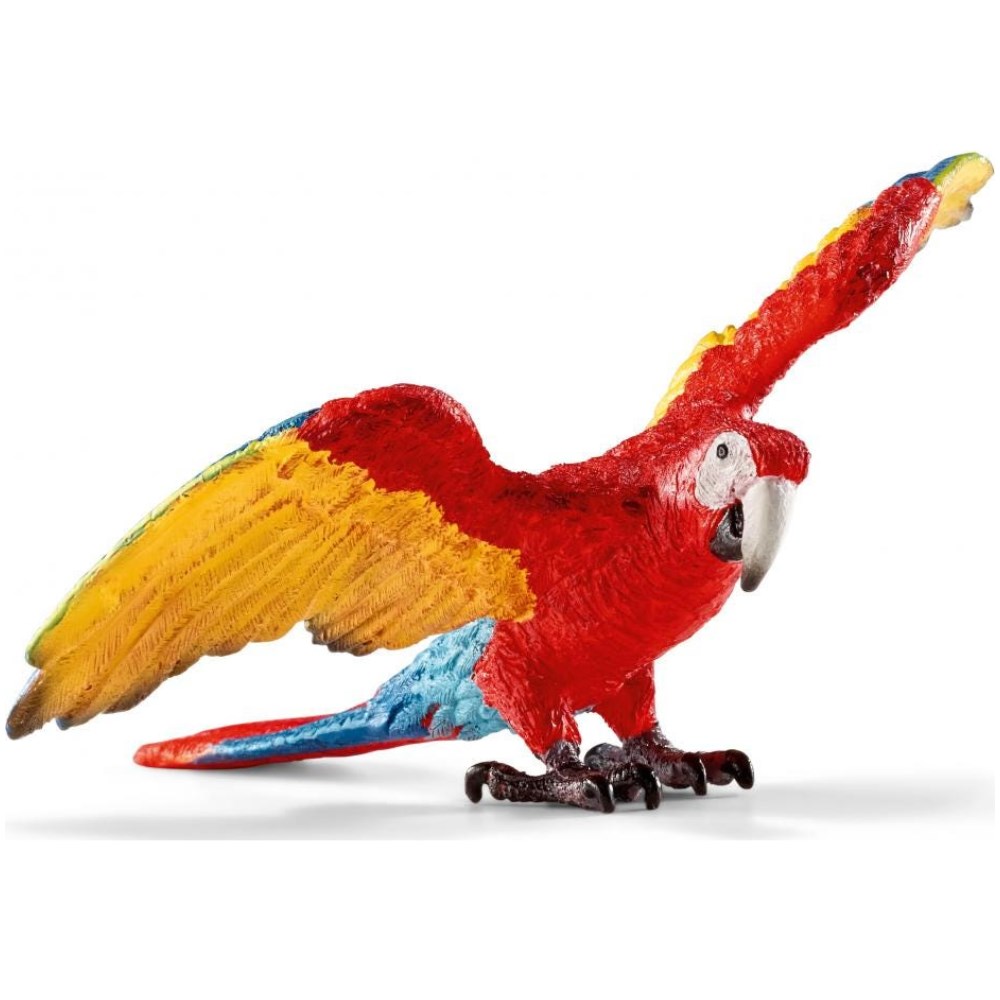 Scarlet Macaw