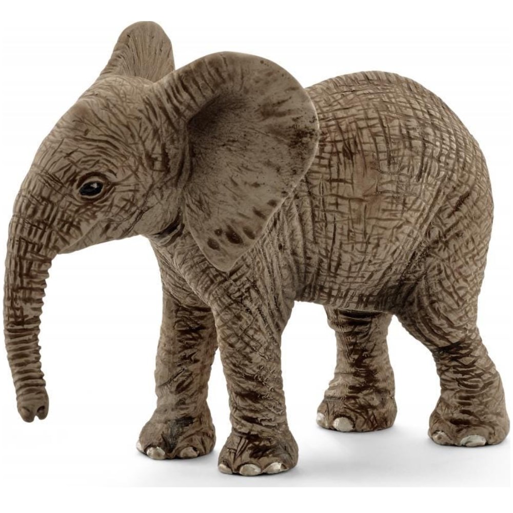 African Elephant Calf