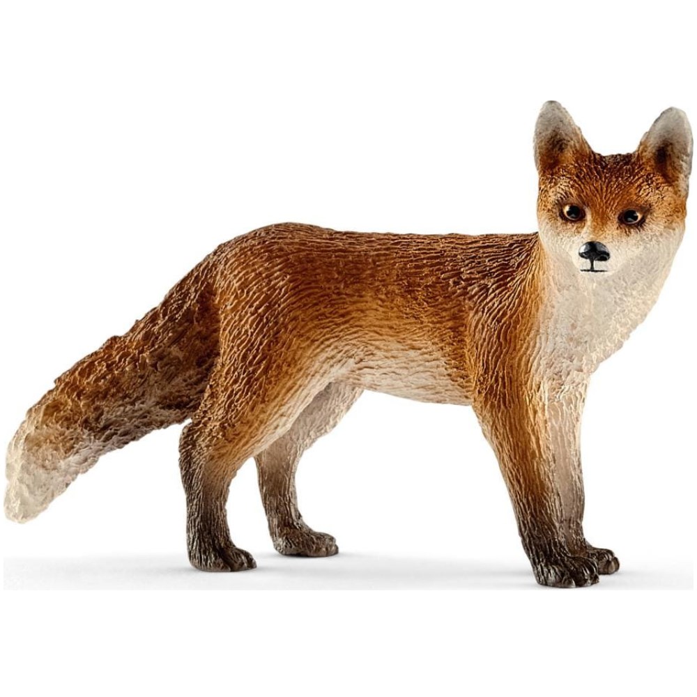 Fox