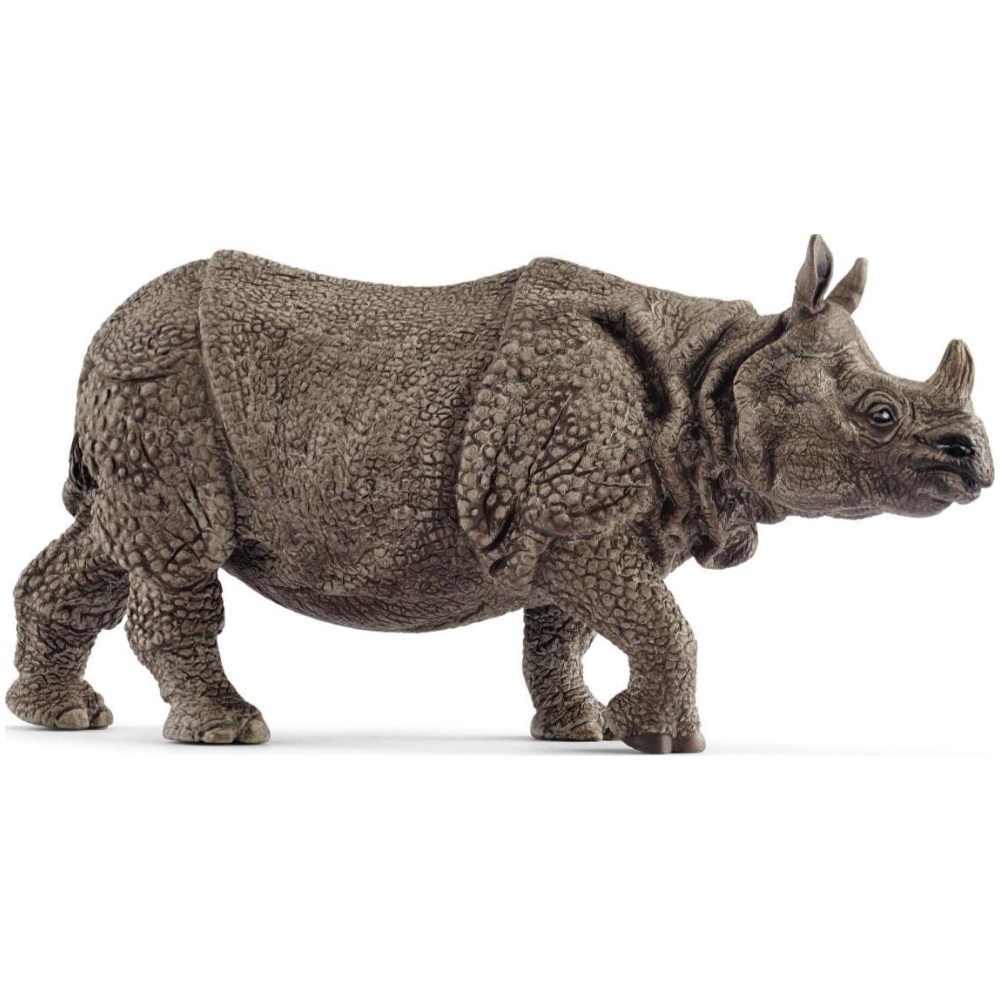 Indian Rhinoceros