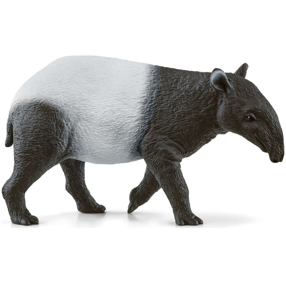 Tapir