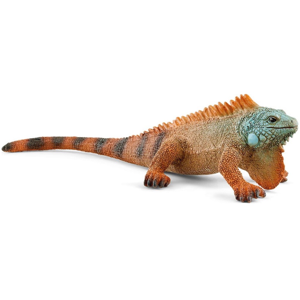 Iguana