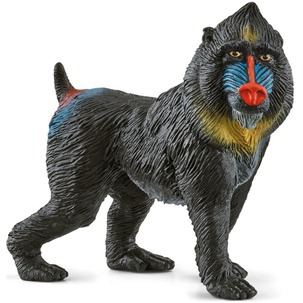 Mandrill