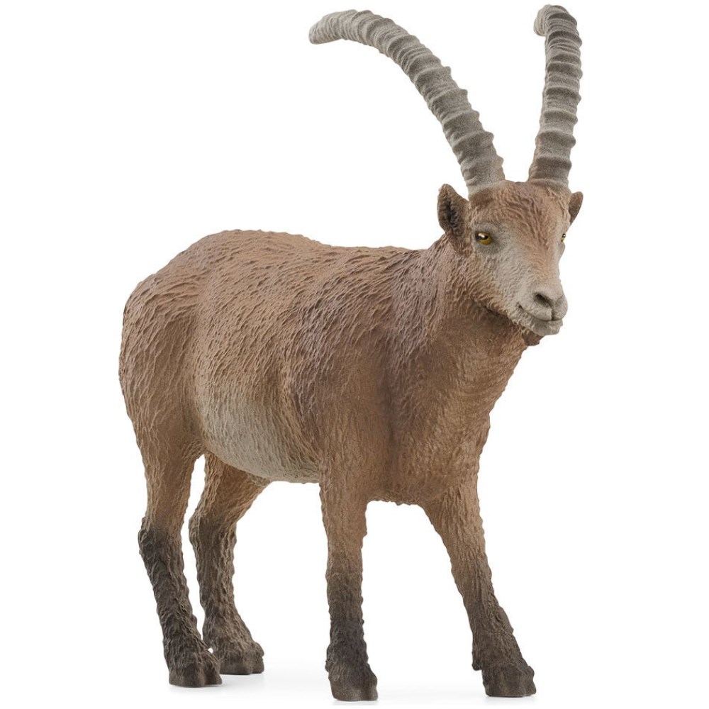Capricorn Goat