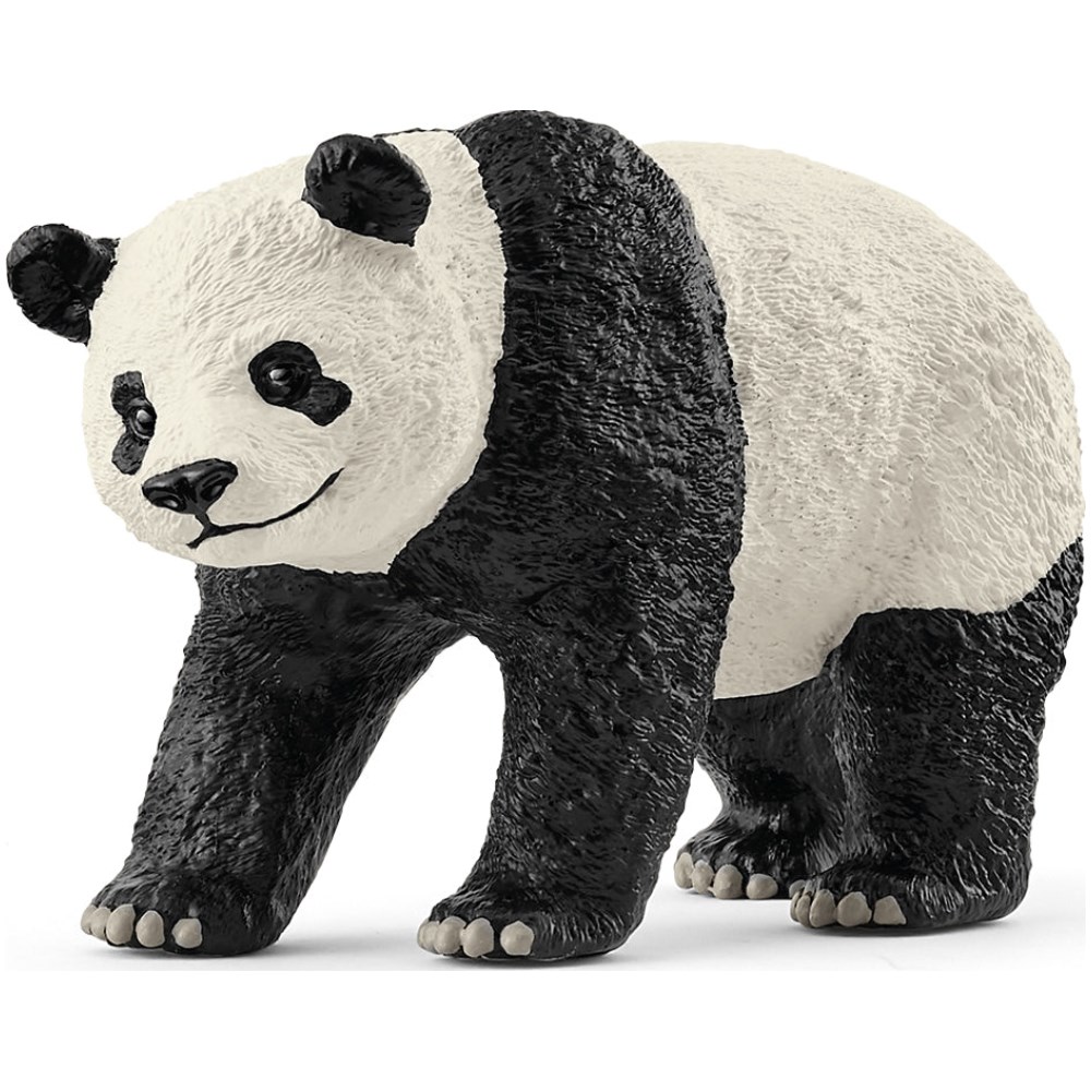 Giant Panda