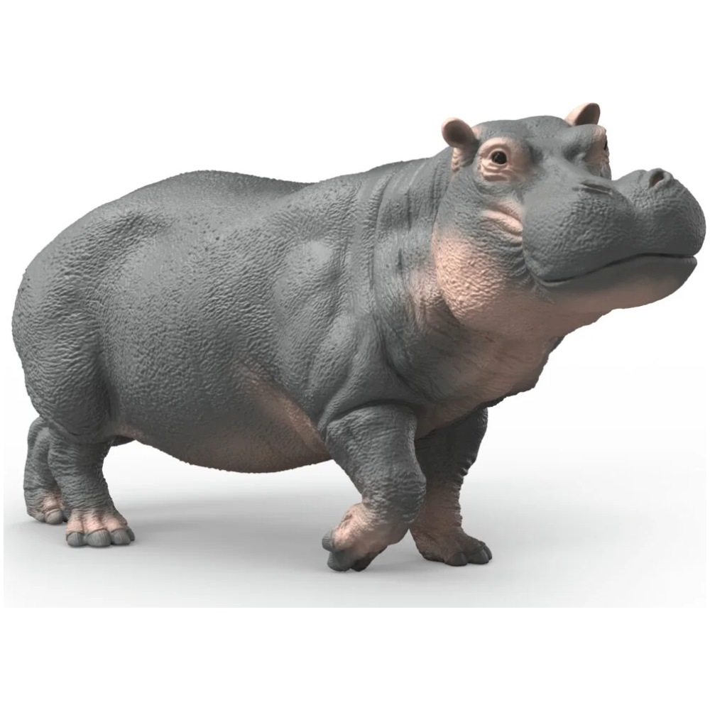 Hippopotamus