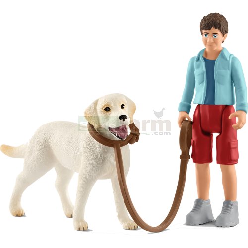 Boy and Labrador Retriever on Lead