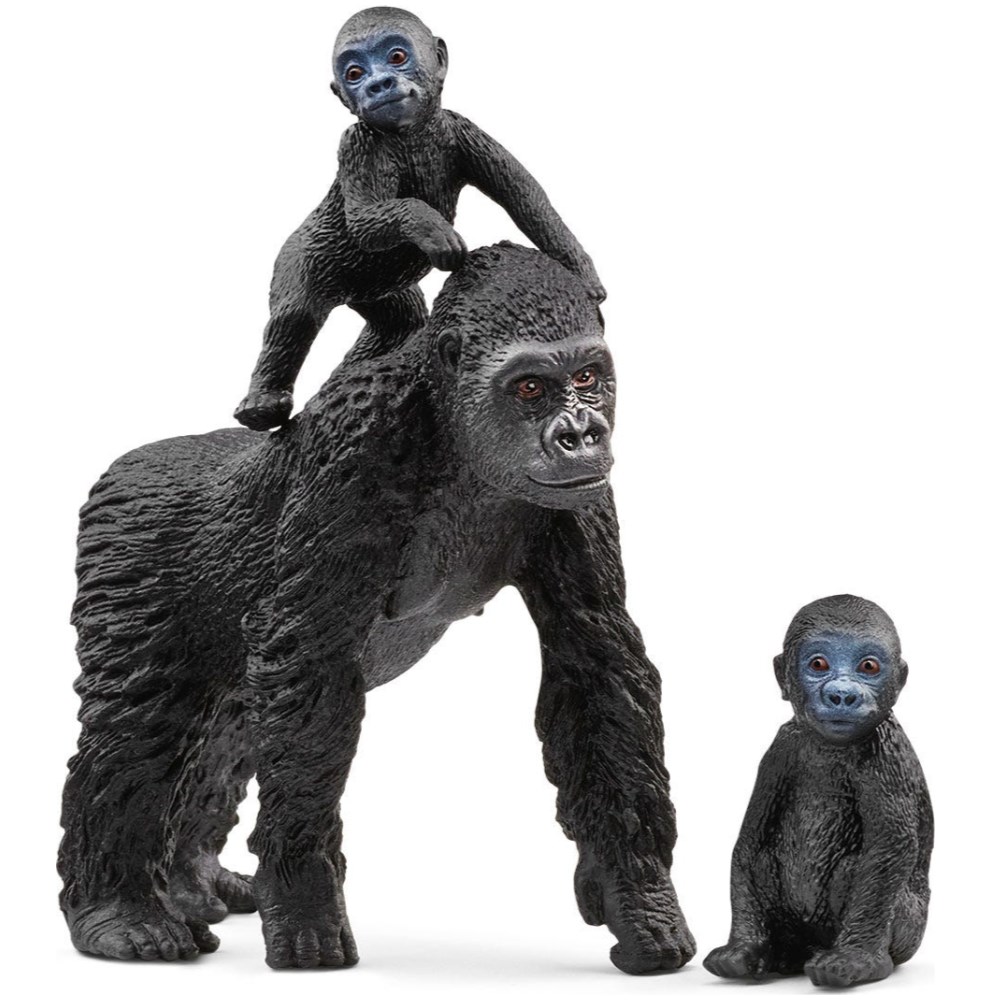 Gorilla Family