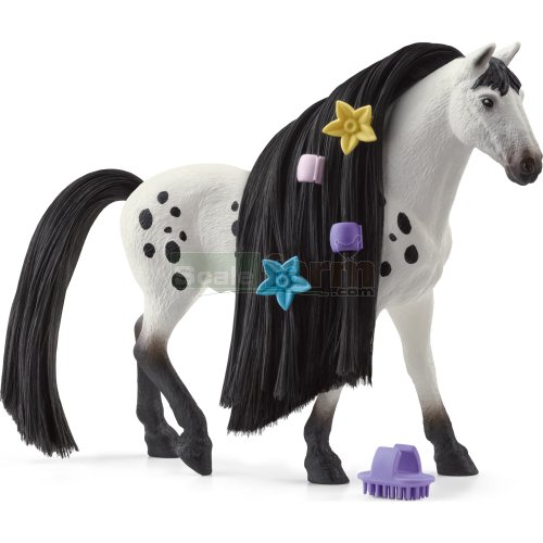 Beauty Horse Knabstrupper Stallion