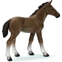 Preview Hanoverian Foal