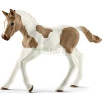 Preview Paint horse Foal