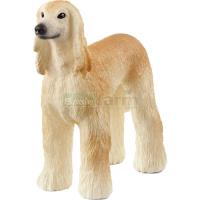 Preview Afghan Hound