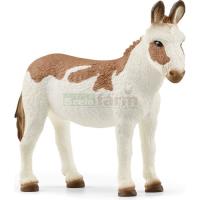 Preview American Spotted Donkey