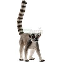 Preview Ring-tailed Lemur