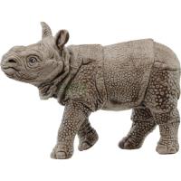 Preview Indian Rhinoceros Baby